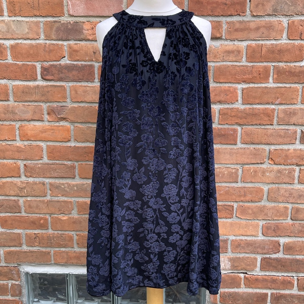 Just Found Velvet Floral Sleeveless Dress